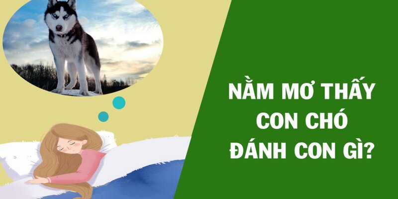 Số đẹp về giấc mơ thấy chó mang tài lộc đi kèm