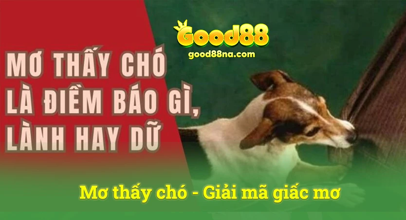 Giải mã giấc mơ - mơ thấy chó